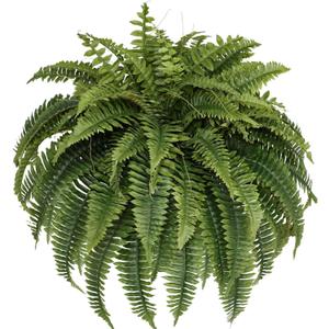 Silky Artificial Boston Fern Bush,48IN Fake Fern Large Hanging Plant That Look Real for Outdoors Home Decor,80Branches (Pack of 1)
