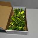 122 Pcs Christmas Glitter Poinsettia Artificial Flowers Berry Picks Butterfly Christmas Tree Ornaments 3 Styles Poinsettia kit with Clip for Xmas Wreath Home Tree Decor(Green)