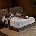 Queen Mattress 14 Inch  Medium Firm Hybrid with Memory Foam for Pressure Relief & Spinal Alignment, Zoned Back Support & Motion Isolation, Edge Support  365-Night Home Trial