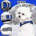 AIITLE Soft & Warm Dog Harness and Leash Set - Checkered Design, Comfortable, Reflective, No-Choke, Secure with Hook & Loop Fastener, Adjustable for Small Dogs - Running, Camping (Blue, XS)