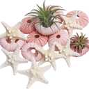 LUCKY BABY Starfish and Sea Urchin Set for Crafts, 12pcs Natural Seashells Decor for Decorating, 1.3-1.9 Inches Sea Urchin Shells for Air Plants