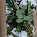 Kenpal 20pack Fake Roses Artificial Flowers with Stem for Wedding Decoration Centerpieces Bouquets Well Packing(White)