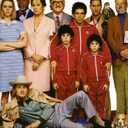 The Royal Tenenbaums (The Criterion Collection) by Criterion DVD