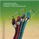 Coghlans 516 4pk 10 Mini Stretch Cord