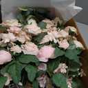 Ling's moment 17.5" Tall Standing Artificial Flowers Arrangements 4 pcs Wedding Aisle Runner Chair Decorations Blush & Pink Centerpieces for Ceremony Reception Rose Floral Party Outdoor