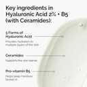 2 x The Ordinary Hyaluronic Acid 2% + B5 (with Ceramides), Multi-Depth Hydration Serum for Plumper, Smoother Skin