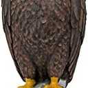 Design Toscano Majestic Mountain Eagle Garden Statue