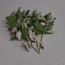 Spring Decor Pick 5 Pack