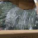 ALL SEASON GREEN 2'T 19''D Topiaries Trees Artificial Outdoors 2 Pack Fake Boxwood Bushes Outside Potted Tree (Large)