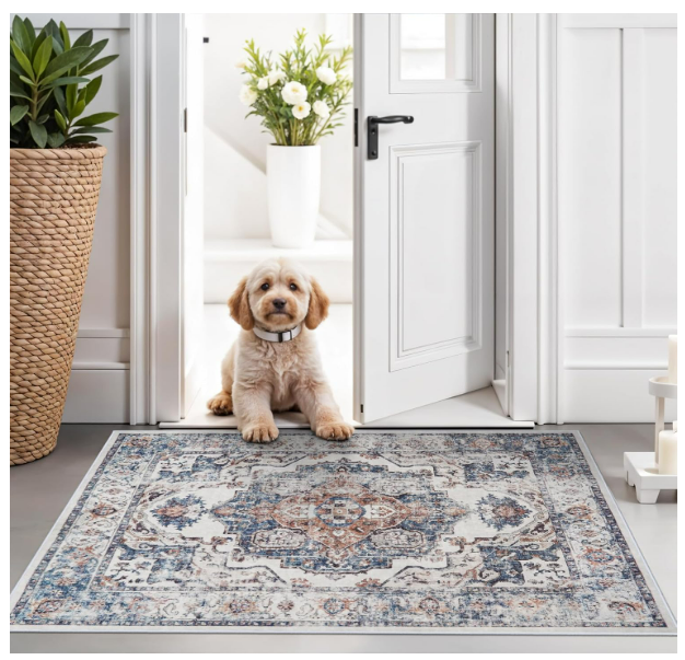 Hallway Washable Runner Rug - 2x3 Kitchen Rugs Entryway Rug Runner Vintage Soft Floor Mat Non Slip Indoor Farmhouse Carpet for Bathroom Living Room Bedroom (2 X 3, Brick)