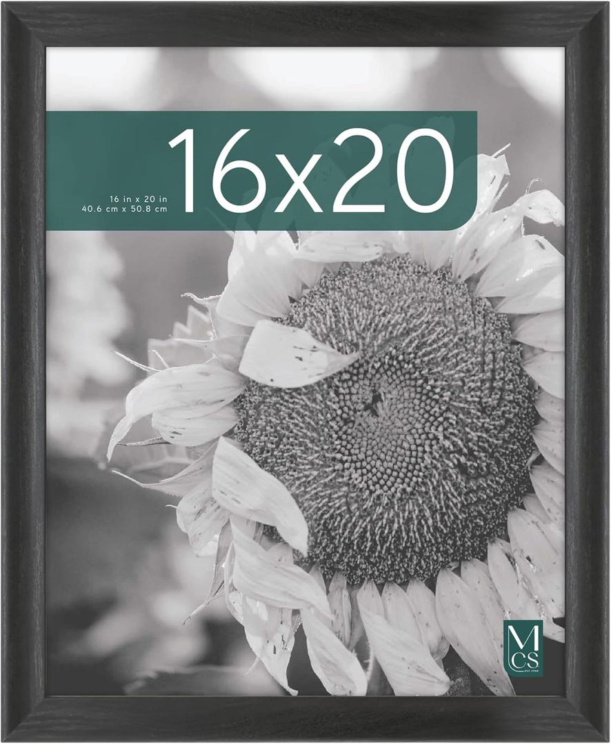 MCS Studio Gallery Classic 16x20 Poster Frame Black Woodgrain Engineered Wood, Vertical & Horizontal Wall Hanging Large Picture Frame for Photos, Posters & Art Prints (1-Pack)