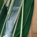 Bird of Paradise Artificial Plant, 4ft Tall Faux Plant Indoor with 8 Trunks, Perfect Indoor Artificial Tree for Home Decor in Living Room, Office, and Bedroom