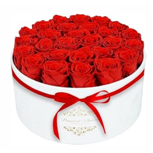 17 Forever Flowers in a Luxury Suede Box, Preserved Roses Birthday Gifts for Women, Romantic Anniversary Valentines Day Gifts for Her Girlfriend Wife, Red
