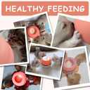 Puppy Feeder for Multiple Puppies, Pet Milk Feeder with Silicone Dog Nursing Station of 4, Puppy Milk Replacer for Puppies/Kittens