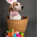 Lionheart glory Dog Bow Collar Easter Day Dog Collar for Large Dogs,Easter Chickens Colorful Dog Collars with Bowtie Spring Pink Collars Pet Collar Bows (Large (Pack of 1)