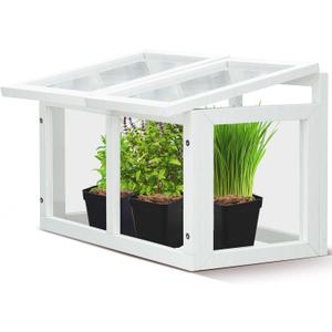 Mini Tabletop Greenhouse 12"x8" – Compact Indoor Plant House with Clear Acrylic Panels & Wood Frame with 4" Pots for Herbs, Seedlings, Cuttings & Propagation - Cat Safe