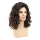 Mens 80s Long Curly Black Wig Mullet Wigs Men Costume Heavy Metal Rock Wig Halloween Costume Party Cosplay (Brown)
