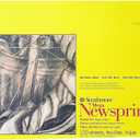 Strathmore 300 Series Newsprint Paper Pads Rough 120 Sheets 18 in. X 24 in. (307-418-1) (White)