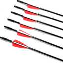 GPP Archery Beginner's First Arrows (30" Fiberglass Target Archery Arrows) - 12 Pack