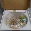 Plug in Pendant Light,9.1 Inch Glass Lampshade 14Ft Hanging Lights with Plug in Cord On/Off Switches Industrial Pendant Lights with Plug in Cord for Bedroom