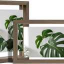 Egofine 4x6 Floating Frames Set of 2, Double Plexiglass Picture Frame, Made of Solid Wood Display Any Size Photo up to 4x6, Wall Mount or Tabletop Standing, Brown