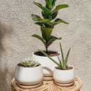 LE TAUCI Ceramic Plant Pots, 4.1+5.1+6.5 inch, Set of 3, Planters with Drainage Hole and Saucer, Indoor Flower Pot with Hole Mesh Pad, Gifts for Mom, White