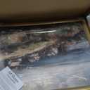 Art Shoppe Framed Print Wall Art, Vintage Wall Décor for Living Room, Bedroom, Office, High-Resolution Image on Premium Art Paper, 3/ 4" Frame with Plexiglass Front, Ready to Hang, 17"x21"