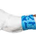 MICOOYO Belly Bands for Male Dogs, 3 Pack Reusable Dog Diapers Male for Puppy Doggie, Washable Male Dog Wraps (S, Rainforest)