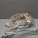 SENSARTE Nonstick Ceramic Saute Pan 12-Inch, 5QT Non-toxic Deep Frying Pan Skillet with Lid, Healthy No Teflon Cookware, Stay Cool Handle, Induction Compatible, PFAS Free