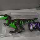 Remote Control Dinosaur Toy, Walking T-Rex with Lights and Sounds, Black and Green, RC Toy for Kids
