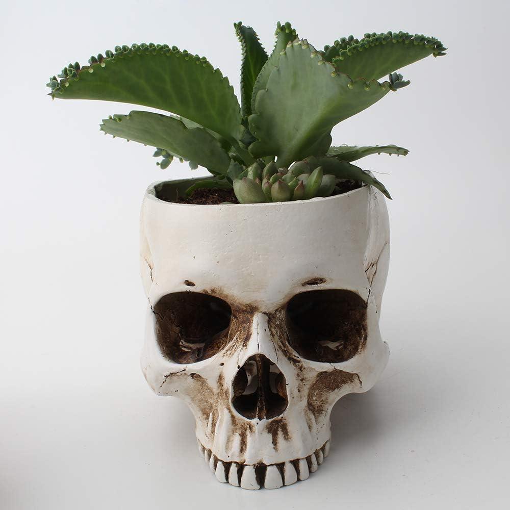 Mikayoo Skull Pen Holder Skull Makeup Brush Holder Pen Holder Dressing Table Office Desk Storage Box Green Plant Flower Pot Halloween Skull (Retro)