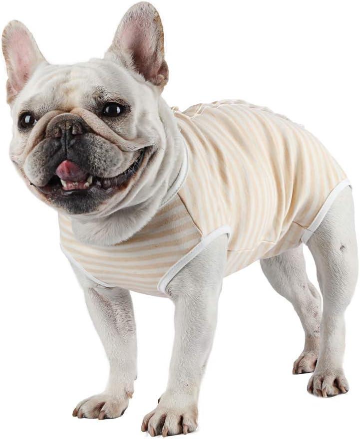 Dog Diapers Period Suit for Female Dog Sanitary Panties in Heat Male Doggy Diapers Cover Dog Onesie to Keep Diaper On Fit for Small Medium Dogs Yellow Stripe/Medium (M(Back girth:11.0",Chest girth:16.5"))