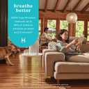 Homedics Air Purifier 5-in-1 HEPA-Type Filtration 853 Sq Ft, Medium