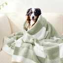 Snuggle Sac Checkered Blanket, Sage Green Throw Blanket for Couch Plaid Microfiber Fluffy Warm Cozy Fuzzy Soft Throw Blanket Reversible Checker Blankets for Sofa, Chair, Bed, 60x80 inches