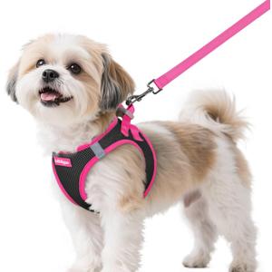 rabbitgoo Dog Harness Small Sized and Leash Set, Step-in Breathable Pet Harness, Soft Walking Reflective Puppy Vest for Small Dogs, Black & Rose Red, S (S (Chest: 15.1 - 16.5"))