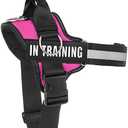 Essential Dog Harness, No Pull Pet Harness with 3 Side Rings for Leash Placement, No Choke, Reflective, Adjustable Pet Vest, Easy On-Off & Improved Control Handle, Training, Walking, Running