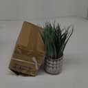 Hollyone Fake Grass Plant in Ceramic Pot Artificial Potted Plants Small Faux Plants for Home Decor Realistic Green Grass House Living Room Bedroom Bathroom Office Indoor & Outdoor Greenery Decoration (Power/Dusty Look)