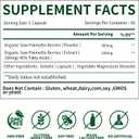 Herbs Saw Palmetto Extract,Supports Healthy Prostate Function for Men,Potent Saw Palmetto for Urinary and Prostate Health,Herbal Health Supplement,60 Capsules 450mg Powder and 100mg Extract