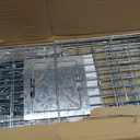 Live Animal Trap Cage with Cover and Gloves, Heavy Duty Folding Animal Traps Cage for Stray Cats, Humane Cat Trap for Raccoon, Squirrel, Skunk, Catch and Release - (32 x 10 x 12 inches)