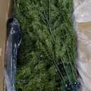 National Tree Company 12 ft Pre-Lit Dunhill Fir Artificial Christmas Tree, 1,500 Clear Lights, 7,794 Tips, Includes Stand, Green