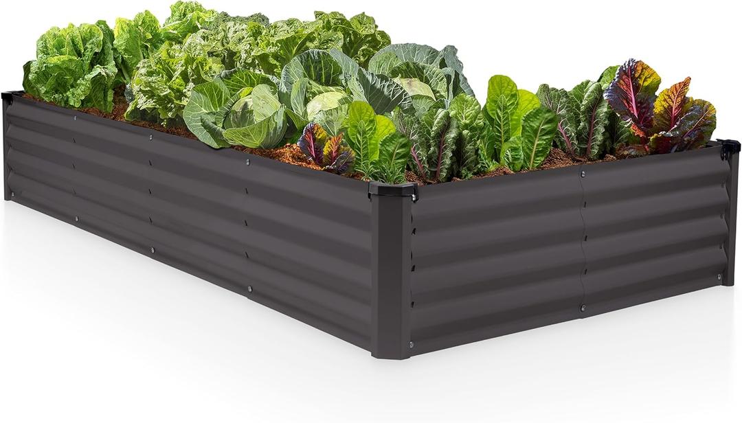 Plant & Plot Galvanized Raised Garden Beds Outdoor // 8×4×1 ft Planter Raised Beds for Gardening, Vegetables, Flowers // Large Metal Garden Box // Patented Tool-Free Design (Dark Gray)