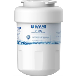 Waterspecialist WS613B Replacement for GE® MWF®, SmartWater® MWFP, MWFA, GWF, HDX FMG-1, WFC1201, GSE25GSHECSS, PC75009, RWF1060 Refrigerator Water Filter, 2 Filters