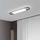 28.3Inch Cool White Modern LED Ceiling Lighting,40W High Brightness Metal Linear Ceiling Lamp,6500K Simple Long Light for Kitchen Dining Living Room Laundry, Garage Cloakroom Lighting