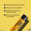 Matrix A Curl Can Dream Deep Cleansing Shampoo For Curly & Coily Hair, Clarifying Shampoo, Preserves Curl Pattern, Removes Build Up, Silicone-Free
