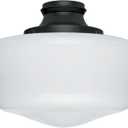 Hunter Ceiling Fan Light Kit - Original Damp Rated Traditional Globe, Black Finish, Replacement Light Fixture for Bedroom, Bathroom, Kitchen, or Covered Outdoor Areas - 99165
