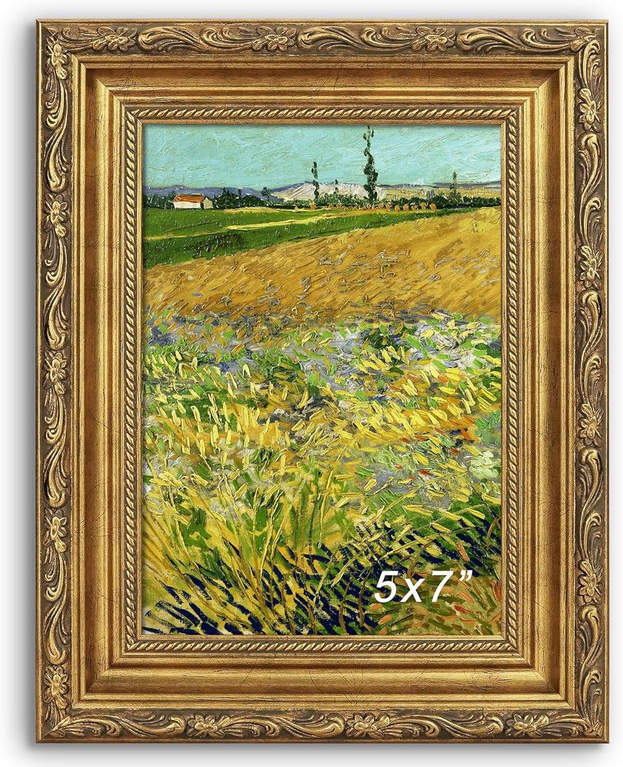 Antique Gold 5x7 Picture Frame, Ornate Embossing 5 x 7 Frame with Tempered Real Glass, Tabletop or Wall Mounting Display for Art Prints or Pictures, 1 Pack