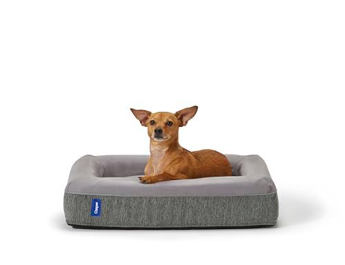 Casper Dog Bed, Plush Memory Foam, Medium, Gray, 25.0"L x 33.0"W x 6.0"Th
