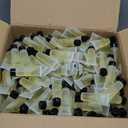 ECO amenities Travel Size Shampoo - 199 PACK, 30mL, 1 oz Hotel Shampoo Supplies for Guests - Green Tea Scent with Flip Cap and Biodegradable Clear Container