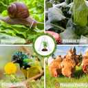 【10 Pieces】 Garden Cloches for Plants, Large Plant Covers Plant Protectors Transparent Bell Jar Cloches to Protect Plants from Birds, Slugs, Frost, Freeze Weather, 10.6" D x 9.5" H, Transparent