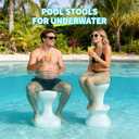 24" Pool stools for Underwater,Pre-Weighted Pool Stool with Adjustable Feet,Bar Seating Non-Float Design,Vinyl-Safe Pool Chairs for Inground Pools,Patio,Outdoor Poolside(1 Stool)